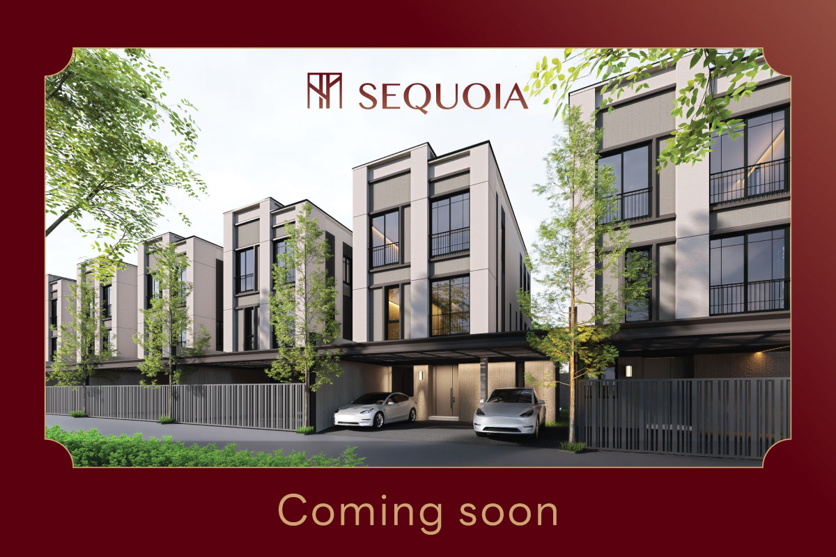 Cover Banner sequoia coming soon