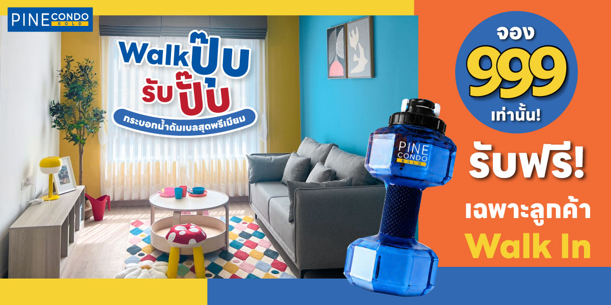 Promotion-Pine-walk-in-July